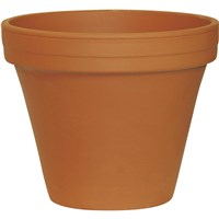 Flower Pots and Boxes