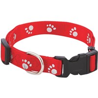 Collars Leashes and Tags